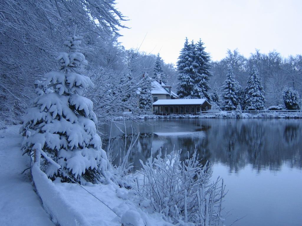 Eldagsen Waldhotel Zur Holzmuhle מראה חיצוני תמונה